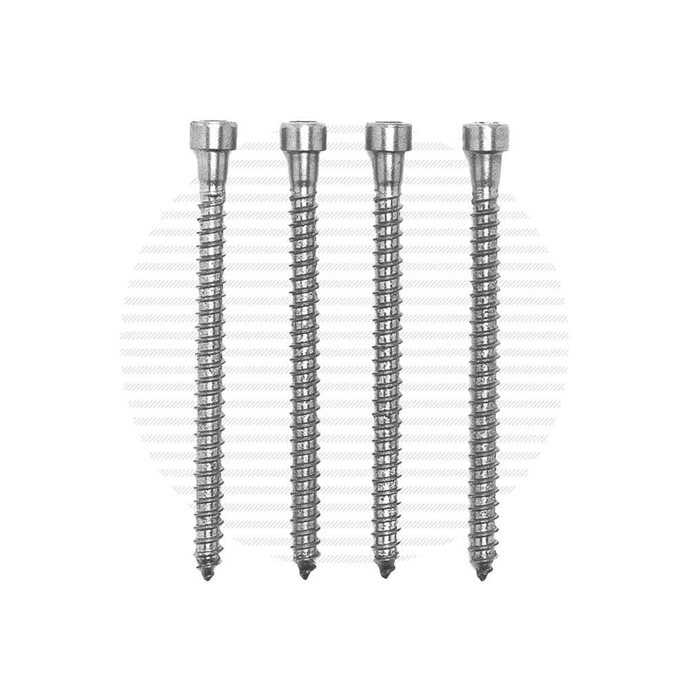 Post Mounting Screws